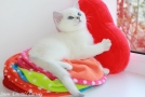 IMG_5669=.jpg