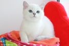 IMG_5683=.jpg
