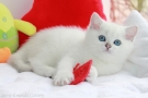 IMG_7204=.jpg
