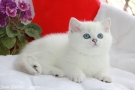IMG_7562=.jpg