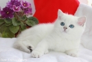 IMG_7550=.jpg