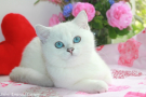 IMG_9573=.jpg