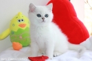 IMG_7345=.jpg
