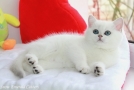 IMG_7418=.jpg