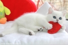 IMG_7427=.jpg