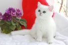 IMG_7591=.jpg