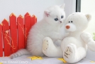 IMG_9147=.jpg