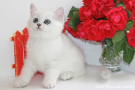 IMG_0174=.jpg