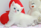IMG_1446=.jpg