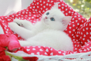 IMG_2686=.jpg