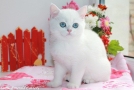 IMG_3951=.jpg