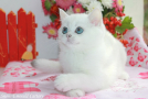 IMG_3893=.jpg