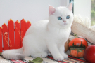IMG_4923=.jpg