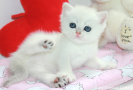 IMG_1432=.jpg