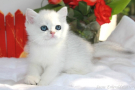 IMG_1838=.jpg