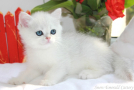 IMG_1842=.jpg