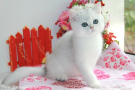 IMG_3754=.jpg