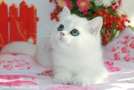 IMG_3771=.jpg
