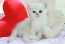 IMG_1168=.jpg
