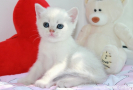 IMG_1174=.jpg