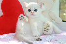IMG_1192=.jpg