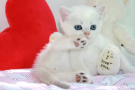 IMG_1194=.jpg