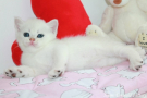 IMG_1387=.jpg
