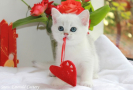 IMG_1975=.jpg