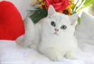 IMG_6575=.jpg