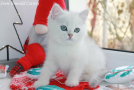 IMG_9638=.jpg