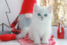 IMG_9281=.jpg