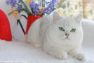 IMG_6732=.jpg