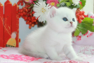 IMG_3452=.jpg