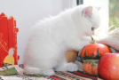 IMG_5044=.jpg