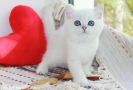 IMG_5582=.jpg