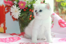 IMG_3541=.jpg