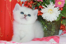 IMG_3588=.jpg
