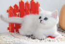 IMG_4081=.jpg