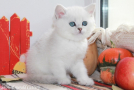IMG_5098=.jpg