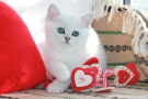 IMG_5934=.jpg