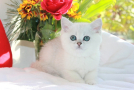 IMG_6011=.jpg