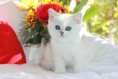 IMG_6024=.jpg
