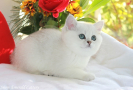 IMG_6044=.jpg