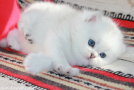 IMG_3079=.jpg