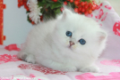 IMG_3823=.jpg