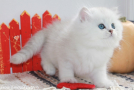 IMG_4237=.jpg