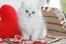 IMG_5337=.jpg