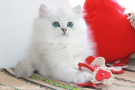IMG_5431=.jpg