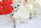 IMG_7456=.jpg