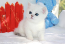 IMG_7476=.jpg